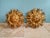 Floral Ceiling Light in Gilded Metal from Banci Firenze, Italy, 1970 For Sale - Image 10 of 13