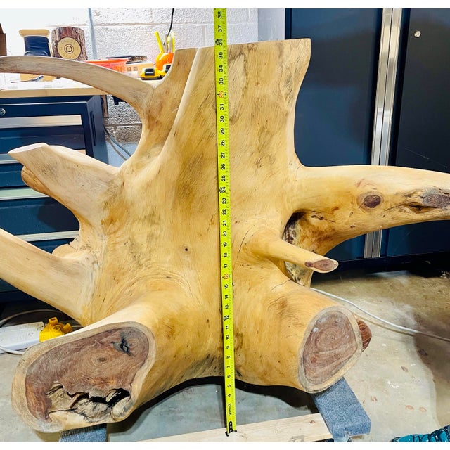 Chestnut Beautiful Monkey Pod Root Slab/Table For Sale - Image 8 of 8