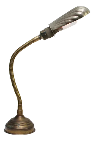 French Art Deco Brass Goose Neck Shell Desk Lamp