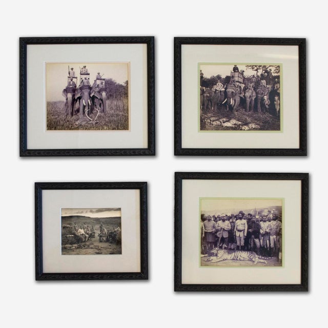Vintage 1930s Photos of a Tiger Hunt in Colonial India For Sale In New York - Image 6 of 6