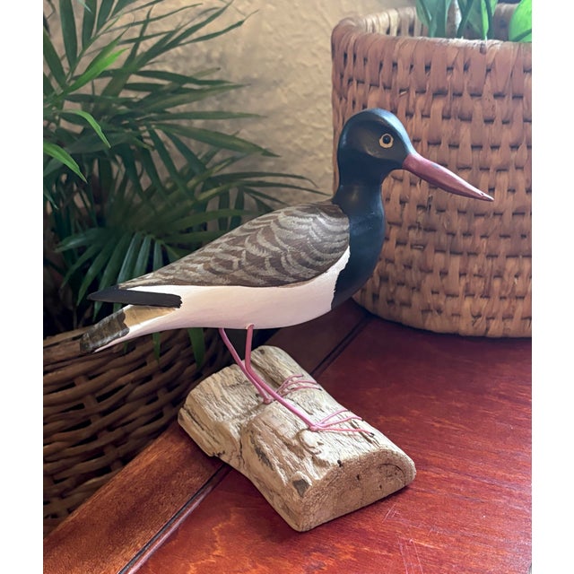 1980's American Oystercatcher Shore Bird Wood Carving Statue Figurine For Sale - Image 10 of 12