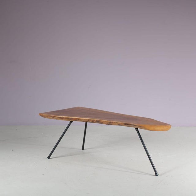 Tree Trunk Coffee Table in the Style of Aubock, Austria, 1950s For Sale - Image 4 of 11