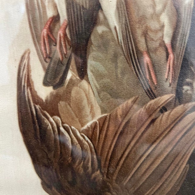 Brown Set of Four 19th Century English Framed Hunt Trophy Lithographs For Sale - Image 8 of 18