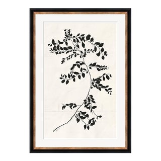 Clematis Vine I by Susan Hable For Sale