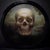 Passage by Karen Offutt | Oil Painting of a skull against a blurred landscape background For Sale