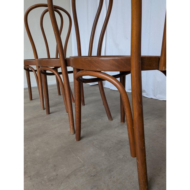 Vintage Carved Bentwood Farmhouse Dining Chairs, 1970s, Set of 3 For Sale - Image 14 of 18