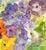 Framed Original Watercolor Painting “Iceland Poppies and Sweet Peas” For Sale - Image 6 of 12