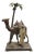 Antique Man with Camel by Franz Bergman, 1890s For Sale