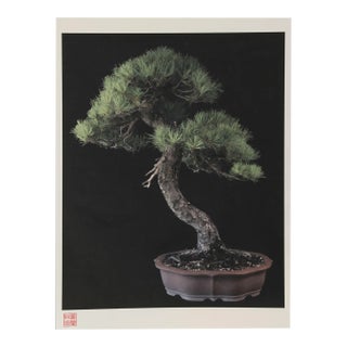 Imperial Series Iv, Jonathan Singer For Sale