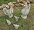Mid 20th Century Concrete Rooster, Hen and Chicks Garden Ornaments - 5 Pieces For Sale - Image 4 of 12