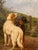 1900 - 1909 19th Century Oil on Canvas English Setter For Sale - Image 5 of 8