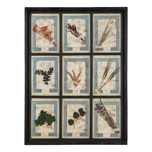 20th Century Italian Large Oak Frame with Pressed Flowers and Herbs, 1950s For Sale
