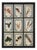 20th Century Italian Large Oak Frame with Pressed Flowers and Herbs, 1950s For Sale