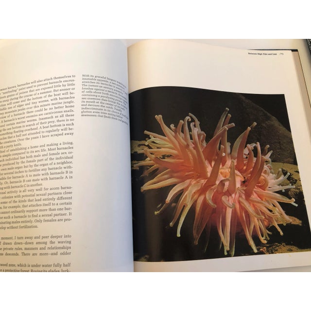 1970s Vintage Time Life Books - Set of 2 For Sale - Image 5 of 7