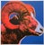 Andy Warhol Vintage 1986 Limited Edition Endangered Species Large Fine Art Lithograph Print " Bighorn Ram " 1983 For Sale - Image 11 of 12