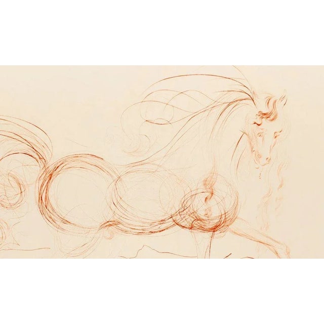 Salvador Dali, L'Etalon Blanc (Hommage au cheval), 1974, Drypoint Etching For Sale - Image 3 of 6
