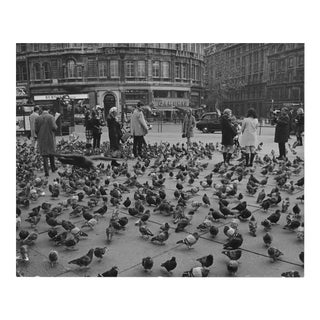 1968 Trafalgar Square London Pigeons Photograph For Sale