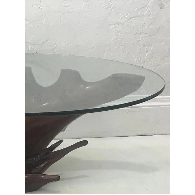 1990s Mid Century Spanish Walnut Root Glass Top Coffee Table For Sale - Image 5 of 15