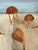 Late 20th Century Horace B. Hartshaw Walnut Stools/ Handcrafted /Wharton Esherick Style For Sale - Image 13 of 13