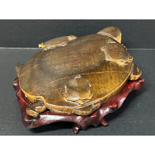Gold Chinese Art Carved Tiger Eye Stone Turtle Sculpture on Wooden Display Stand For Sale - Image 8 of 11
