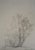 Alberto Giacometti, Arbres, Lithograph For Sale - Image 5 of 5