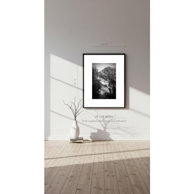 Paul Cooklin, Rome, Italy, Edition of 50 For Sale - Image 6 of 7