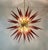 Murano Glass Sputnik Chandelier, Italian Mid Century Modern Brass Light Fixture For Sale - Image 4 of 7