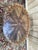 Oval Coffee Table in Marquetry and Brass Gallery with Bronze Feet, 1890s For Sale - Image 4 of 7