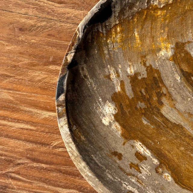 Trinket Tray in Petrified Orange-Grey Wood, 1980s For Sale - Image 4 of 8