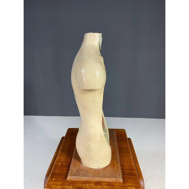 Educational Anatomical Model of Human Body, Former Czechoslovakia, 1960s For Sale - Image 4 of 11