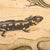 19th century Czechoslovakian educational chart of amphibians. 19th Century exceptional educational teaching chart from the...