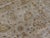 Beige Handmade Indian Rug - 9'x 12' For Sale - Image 8 of 12
