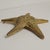 Hollywood Regency Large Mid-Century Brass Starfish Wall or Tabletop Accent For Sale - Image 3 of 5