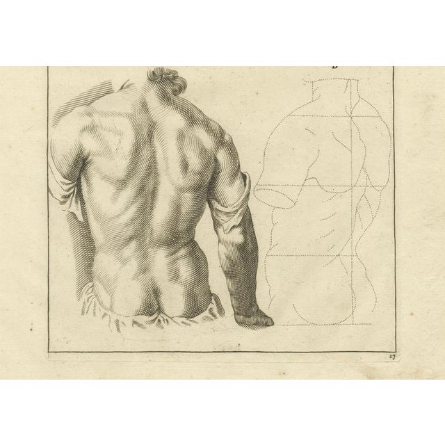 After De Lairesse, Anatomical Back Studies Academic Figure, 1745, Paper For Sale - Image 3 of 10