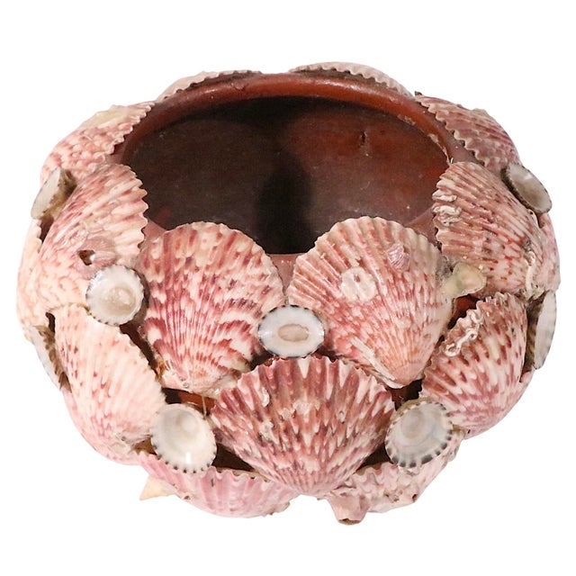 Mid 20th Century Vintage Decorative Shell Bowl For Sale - Image 5 of 10
