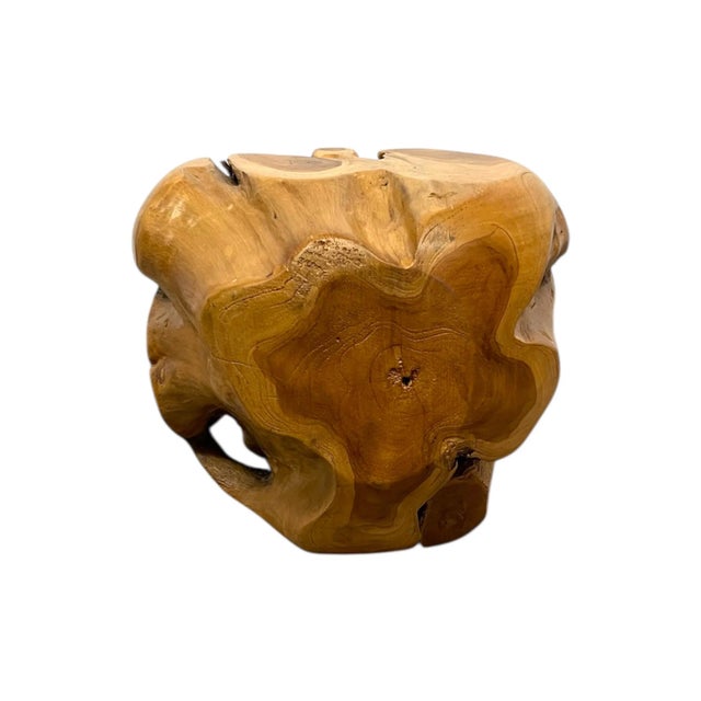 Wood 1970s Natural Organic Likely Teak Root Accent Table or Sculptural Display Stand For Sale - Image 7 of 10