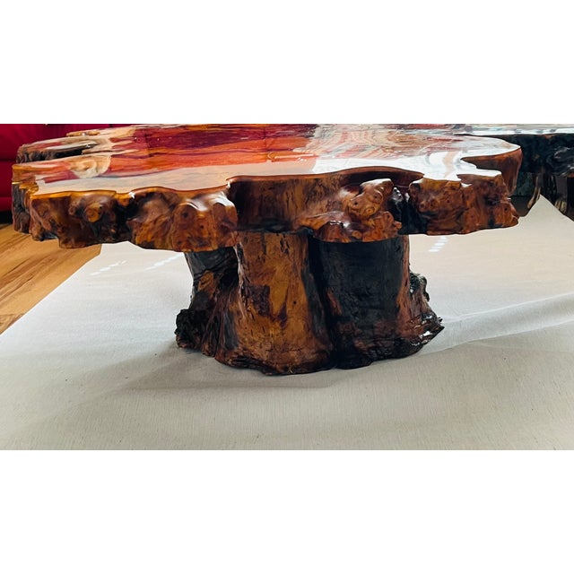 Gorgeous 1960 Tedeood Slab Stump Root Live Edge Coffee Table For Sale - Image 17 of 17