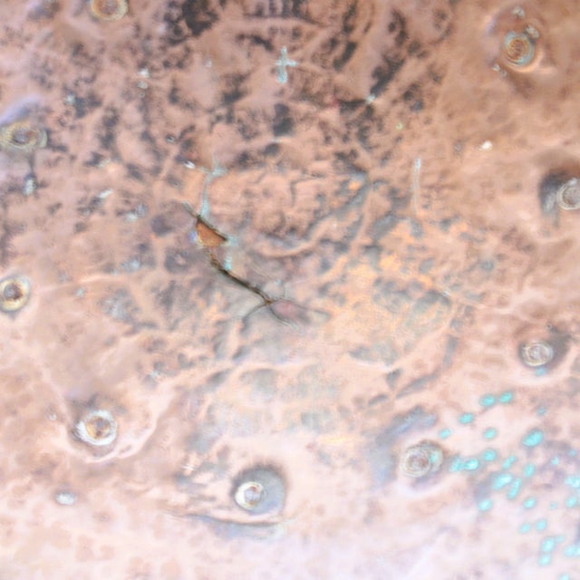 Late 19th Century Late 19th Century Hammered Copper Bowl/French Country/Farmhouse For Sale - Image 5 of 8