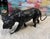 Mid-Century Modern Vintage Black Panther For Sale - Image 3 of 7