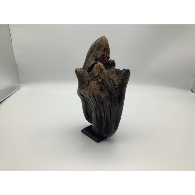 Late 20th Century Driftwood Sculpture For Sale - Image 12 of 13