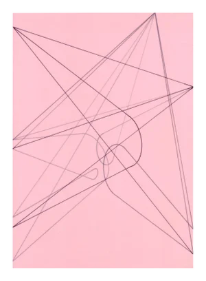 Richard Caldicott "Untitled 2006", Drawing