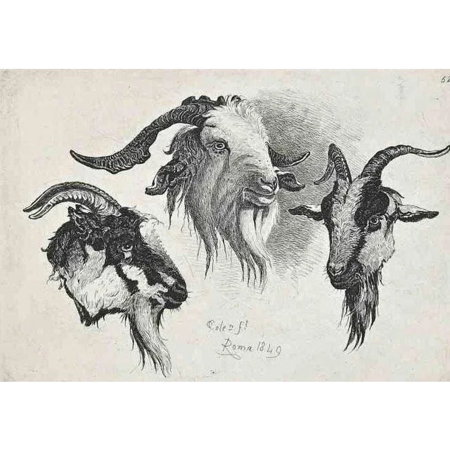 Antelope in the Roman Countryside is an original etching artwork realized after Charles Coleman (1807, Yorkshire - 1874,...