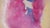 Magenta and Yellow Abstract Expressionist Composition in Acrylic on Paper by Ricardo De Silva For Sale - Image 4 of 8