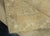 Textile Turkish Mini Rug Oriental Hand Knotted Vintage Rug 1'9" x 3' #16431 For Sale - Image 7 of 8