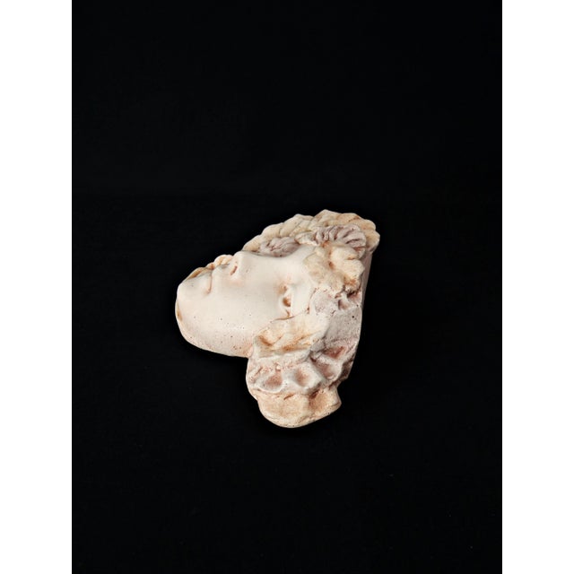 Pink Art Nouveau Style Pink Plaster Wall Mask with Woman's Face and Flowers, 1970s For Sale - Image 8 of 12