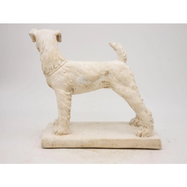 Plaster Model of a Terrier Dog, 20th Century For Sale - Image 4 of 6