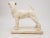 Plaster Model of a Terrier Dog, 20th Century For Sale - Image 4 of 6