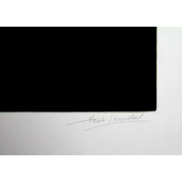 This aquatint etching, titled "Castle Eye," was created by the American artist, Hank Laventhol (1927 - 2001), in 1980. It...