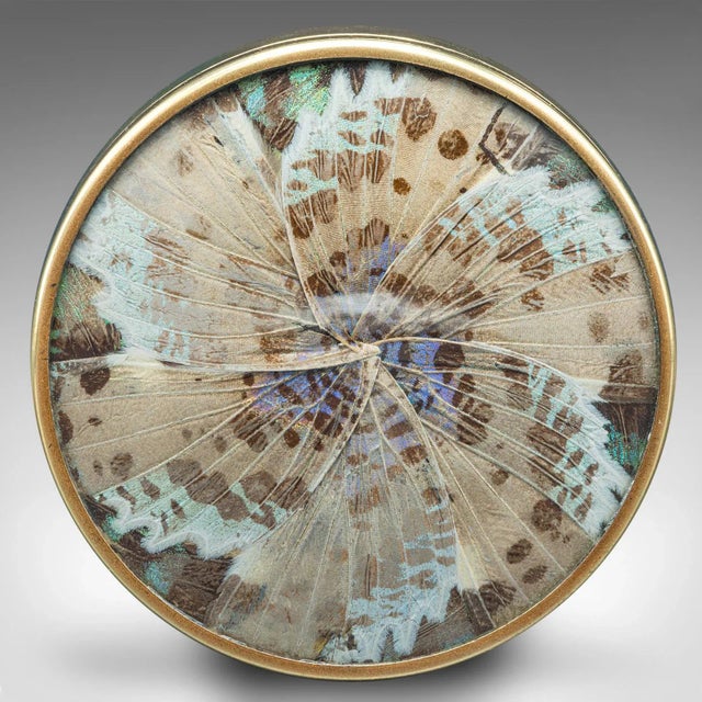 1930s Vintage Sugared Treats Dish, French, Brass, Glass, Small Pot, Butterfly Decor For Sale - Image 6 of 9