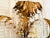 Vintage Italian gilt metal sconce palm tree with three lights will help you achieve the effect of a luxurious tropical...